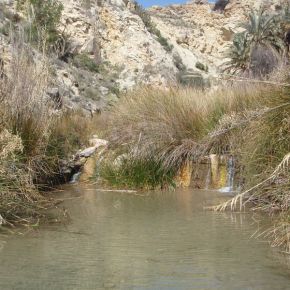 El río Chícamo: viaje al corazón de la Palestina murciana y su principal arteria