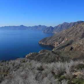 Cabo Tiñoso: un remanso de paz en el Mediterráneo